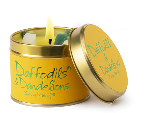 Daffodils & Dandelions Tin - Sunny Side Up!